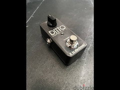 Used Ditto Looper Pedal