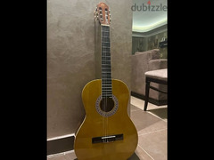 New EKO guitar - 3