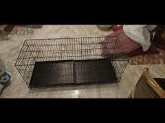 بيت كلاب و قطط  puppys and cats house - 1