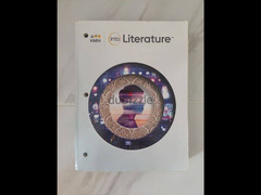 into literature - 3