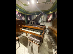 Grand piano - 4