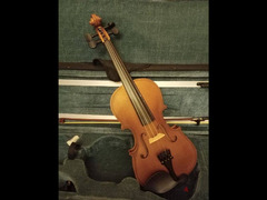 New violin shelter - 4