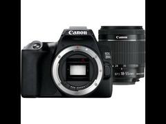 Canon EOS 250D + 18-55mm f/4-5.6 IS STM Lens+ EF 50mm f/1.8 STM