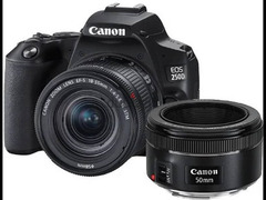 Canon EOS 250D + 18-55mm f/4-5.6 IS STM Lens+ EF 50mm f/1.8 STM - 2