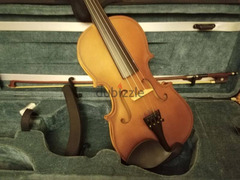 New violin shelter - 5