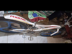 دراجة فونيكس للبيع - 5