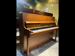 New piano for a professional pianist