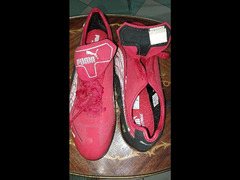 puma sport shoes