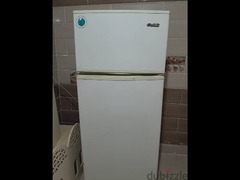 goldi fridge - 6