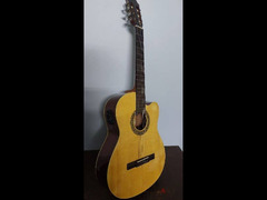 Guitar Samich C2CE Model - 1