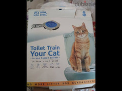 toilet train your cat - 1