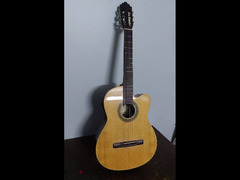 Guitar Samich C2CE Model - 3