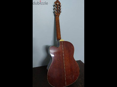 Guitar Samich C2CE Model - 5