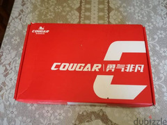 skate cougar 509 - 1