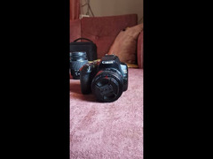 كاميرا Canon 250d +معدات الإضاءة والعدسات - 2