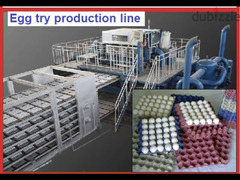 خط انتاج مصنع كراتين بيض وكب هولدر قائم للبيع - 1