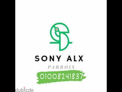 قص كويكر لاتينى رسايل شغال. . . Sony alx - 2