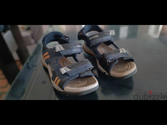 Geox Shoes for kids