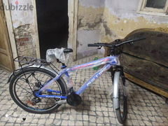 دراجة النوع فليبكس مصري سرعات