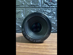 50mm stm lens - عدسة ٥٠ مل - 5