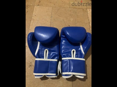 boxing gloves - 1