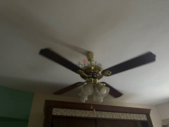 ceiling fan freshمروحة سقف فريش