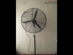 garden fan
