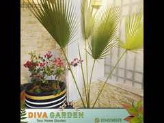 Diva Garden