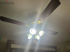 ceiling fan freshمروحة سقف فريش - 2