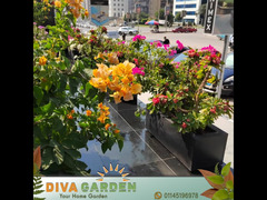 Diva Garden - 4