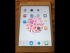 Apple iPad mini1 - 5