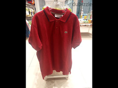 Large Round and polo t-shirt (h&m ,lacoste,tommy)