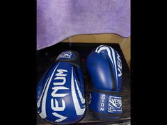 boxing gloves venum 10-oz