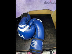 boxing gloves venum 10-oz - 3
