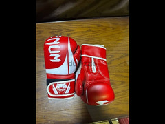 Boxing Gloves 14 oz