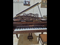 baby Grand Professional Coda for pianists
