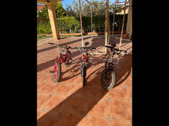 pigeon bicycles عجل بيجون - 2
