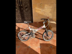 pigeon bicycles عجل بيجون - 3