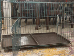 قفص الحيوانات كبير حديد لقطه/dog cage - 2