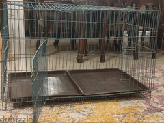 قفص الحيوانات كبير حديد لقطه/dog cage - 3