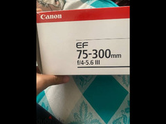 Canon EF 75-300 f/ 4 - 5.6 III lens