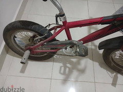 دراجة (عجلة) ايطاليانو - 3
