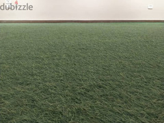 Used Artificial Grass - 5x4 m - 3cm - 2