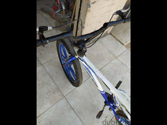 دراجه نيجر BMX مقاس 24 ماركه فلاينج بيجون - 3