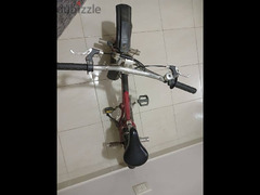 دراجة (عجلة) ايطاليانو - 4