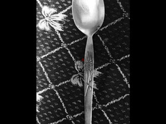 معلقتين السنبلة Two spoons of spike