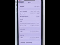 iPhone XS - 256 GB - 2