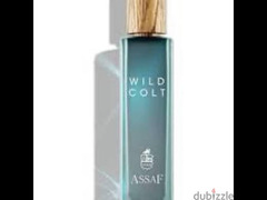 wild colt - assaf - 1