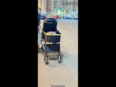 belecoo stroller used for twice - 3